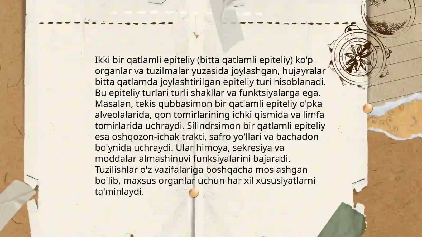 Epiteliy to'qimasi 4