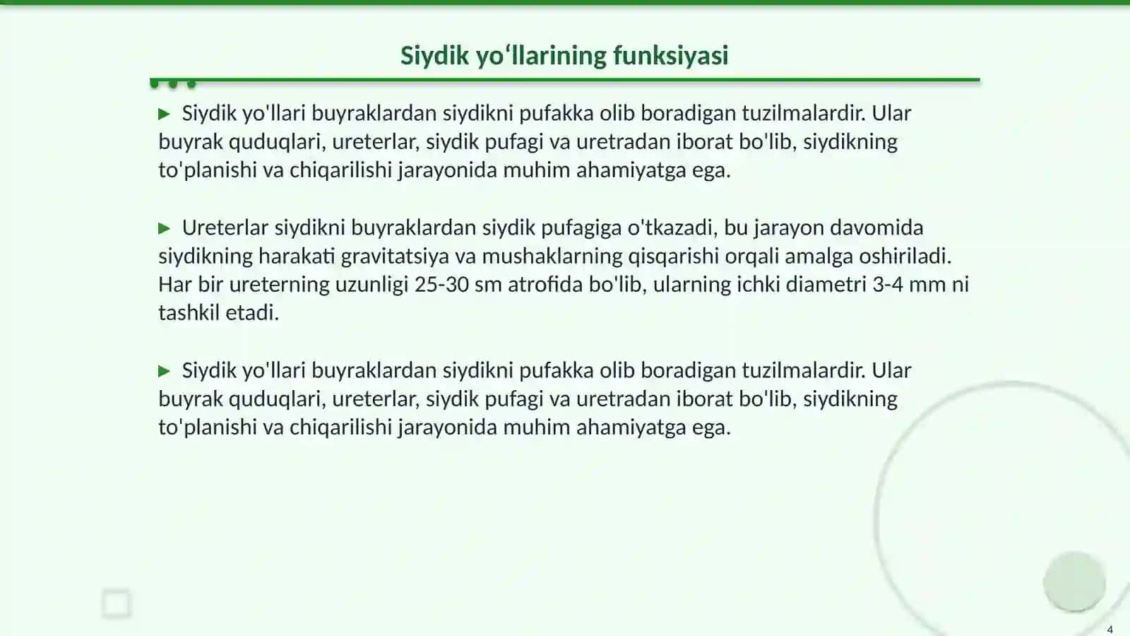 Buyrakning anatomik tuzilishi 4
