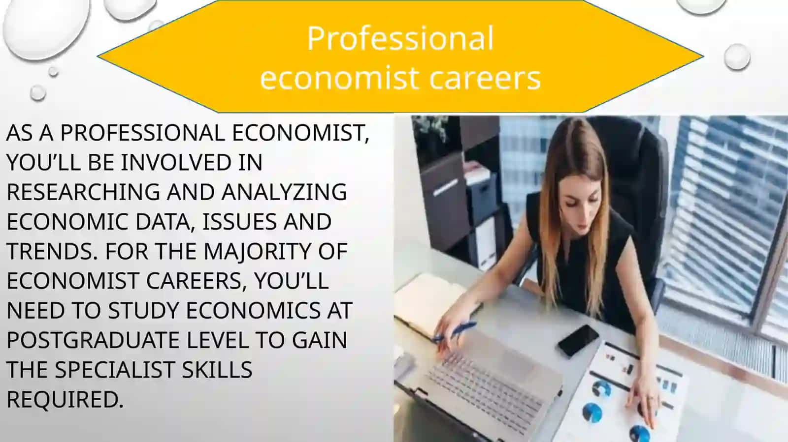 The role of economists in the secienty 4
