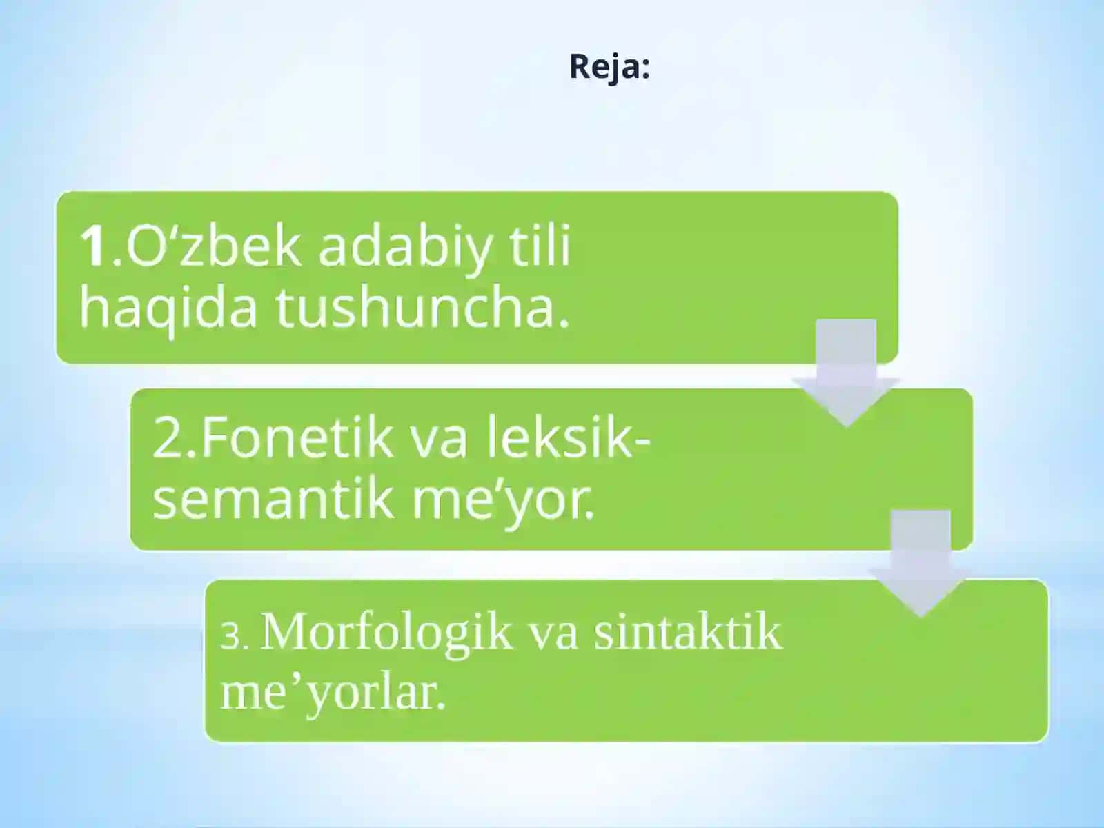 O‘zbek adabiy tili me’yorlari 4