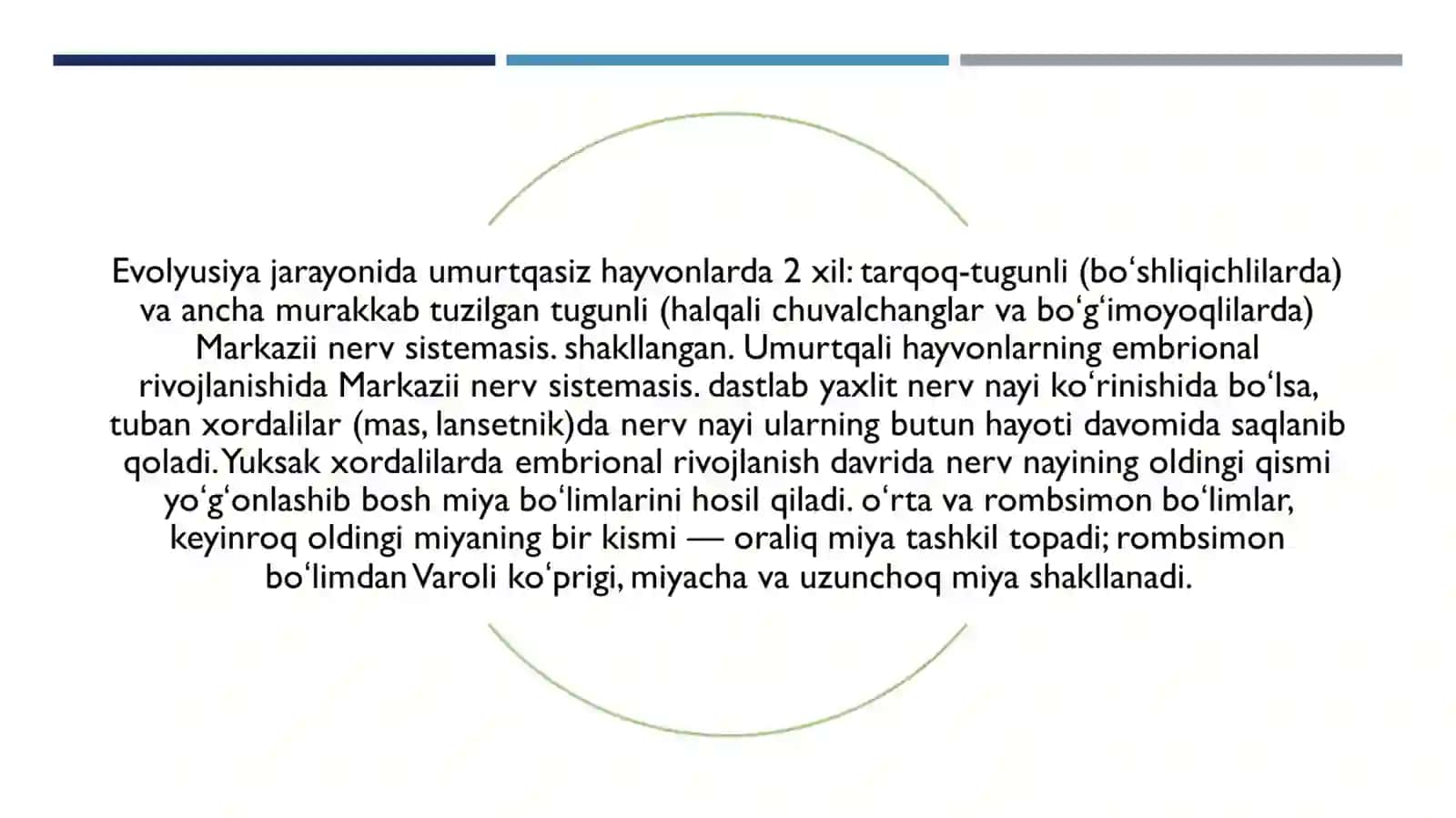 NERV TIZIMINING EVOLUTSIYASI 4