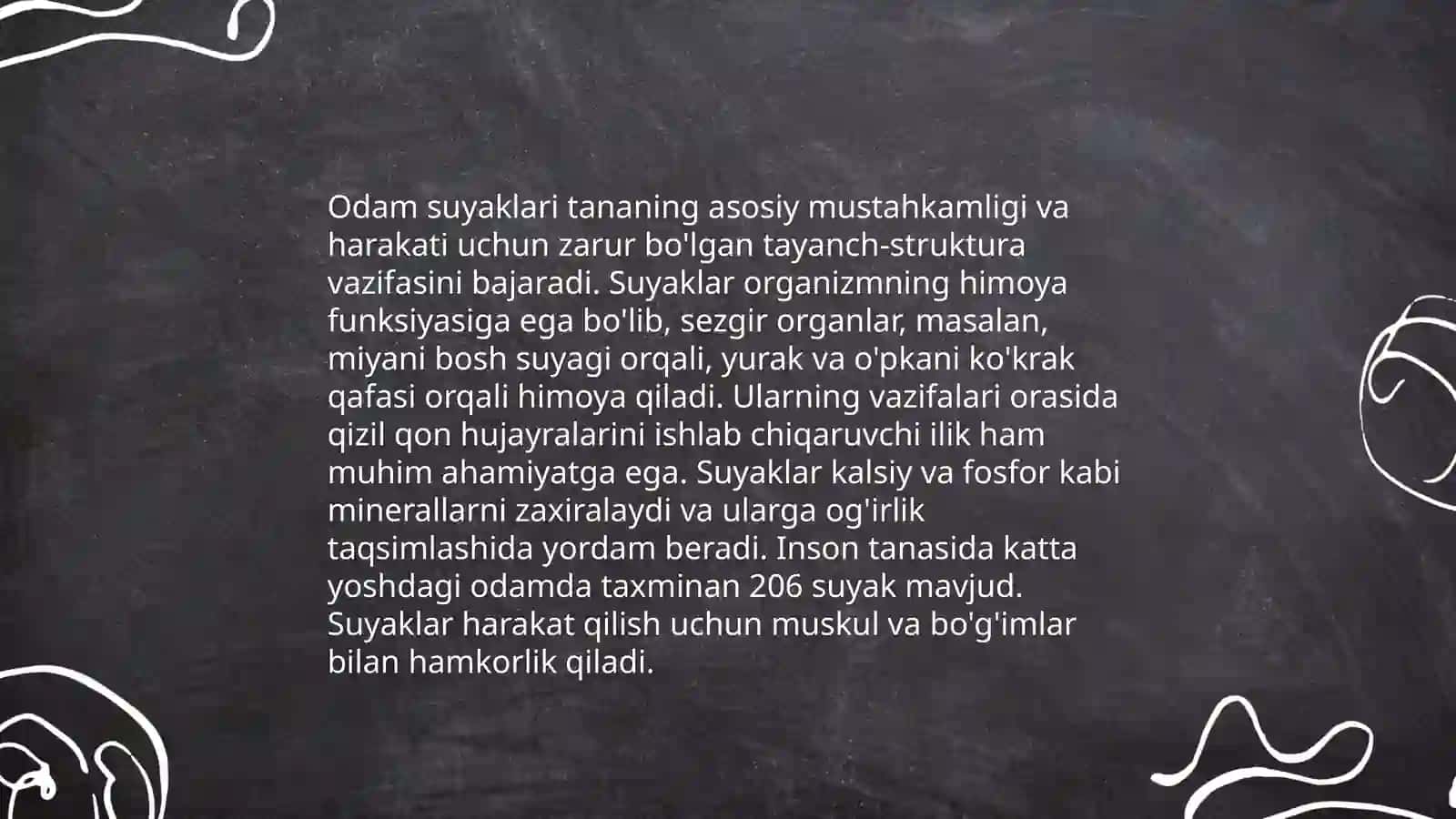 Odam suyaklarini oʻrganish 4