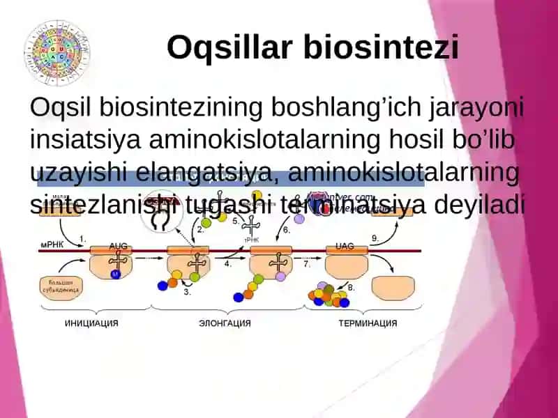Plastikalmashinuv 4