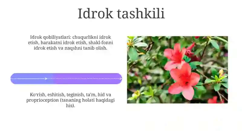Sezgi turlari va qobilyatlari 4
