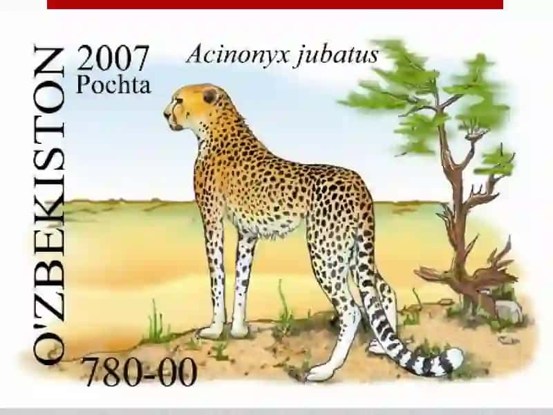 Qizil kitob 4
