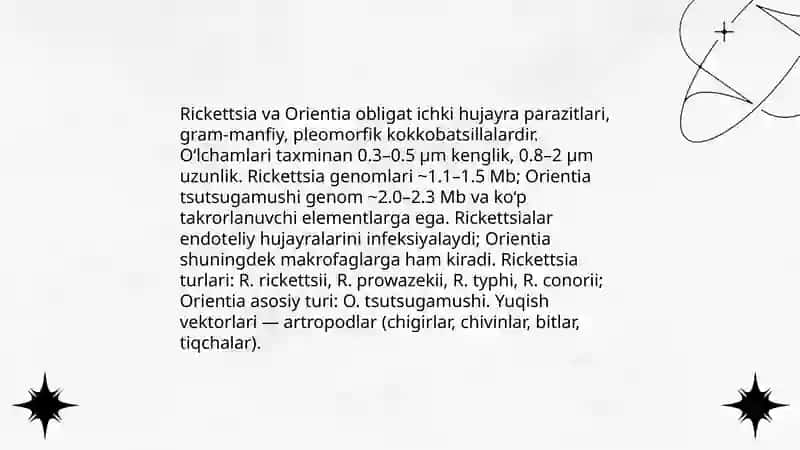Rikketsiozlar. Etiologiyasi, epidemiologiyasi, klinikasi va patogenezi 4
