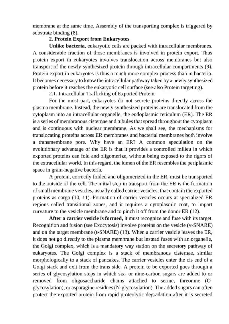 Protein Secretion (Molecular Biology) 4