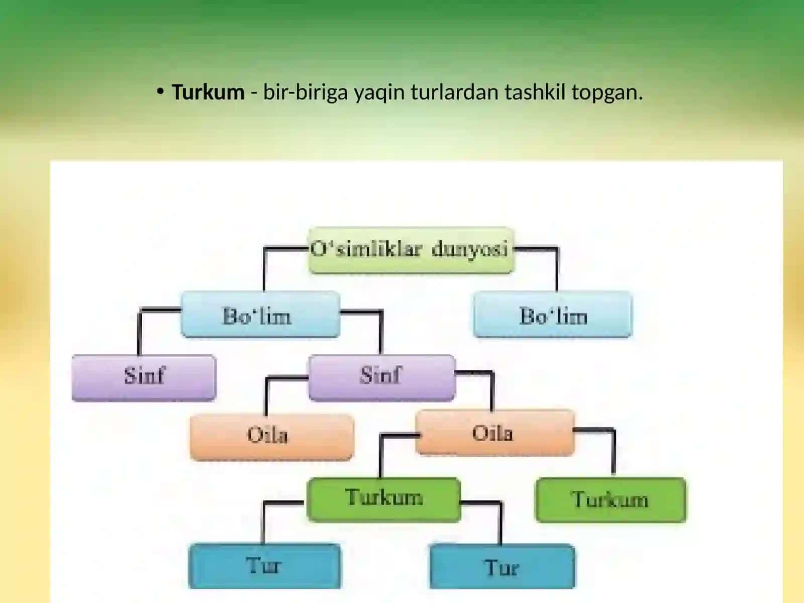 6-sinf Botanika O'simliklar sistematikasi haqida 4