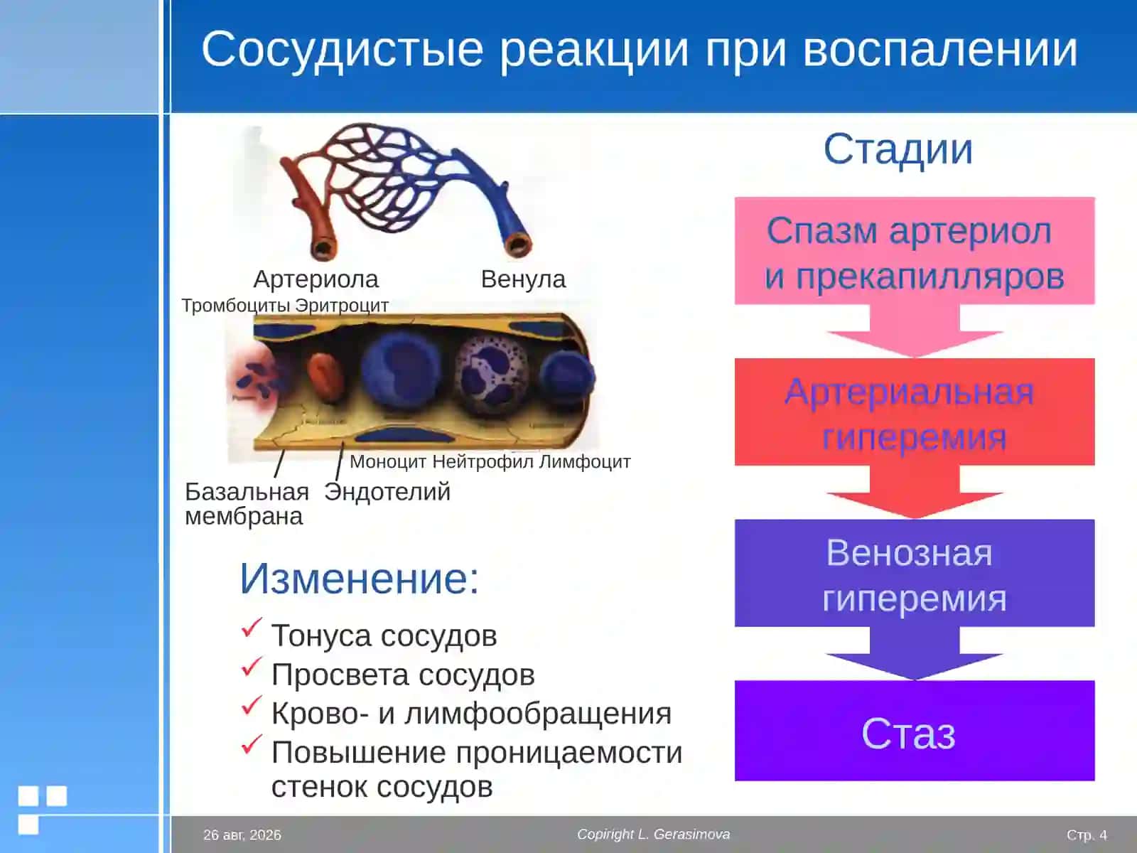 Экссудация Воспаление 4