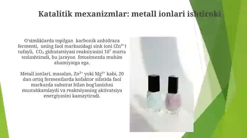 Fermentativ kataliz 4