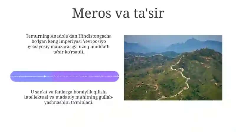 Amir Temur 4