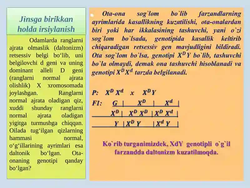 Jinsga birikkan holda irsiylanish 4