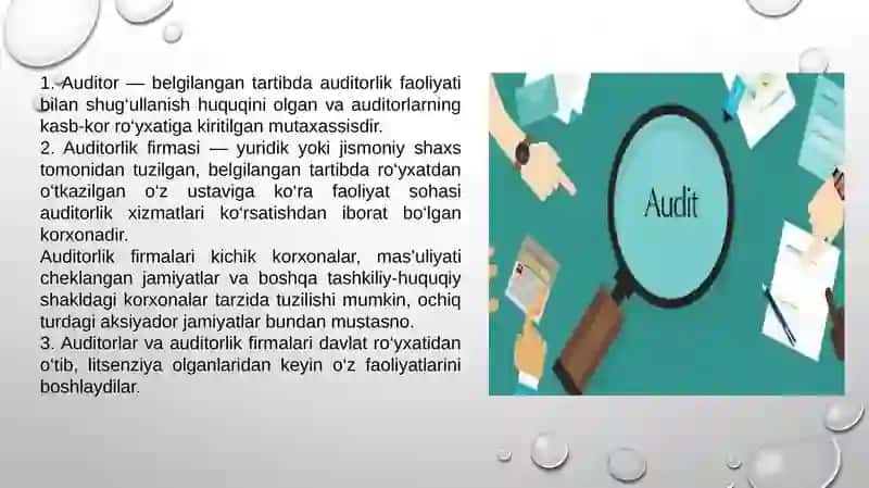 Auditorlik faoliyatining moliyaviy vahuqi tabiati 4
