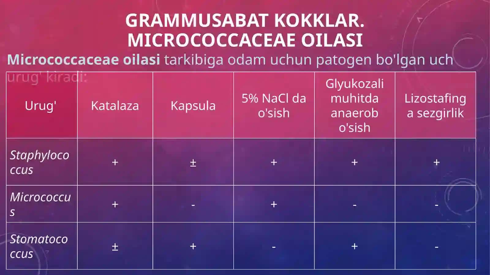 meningokokk, gonokokklar 4