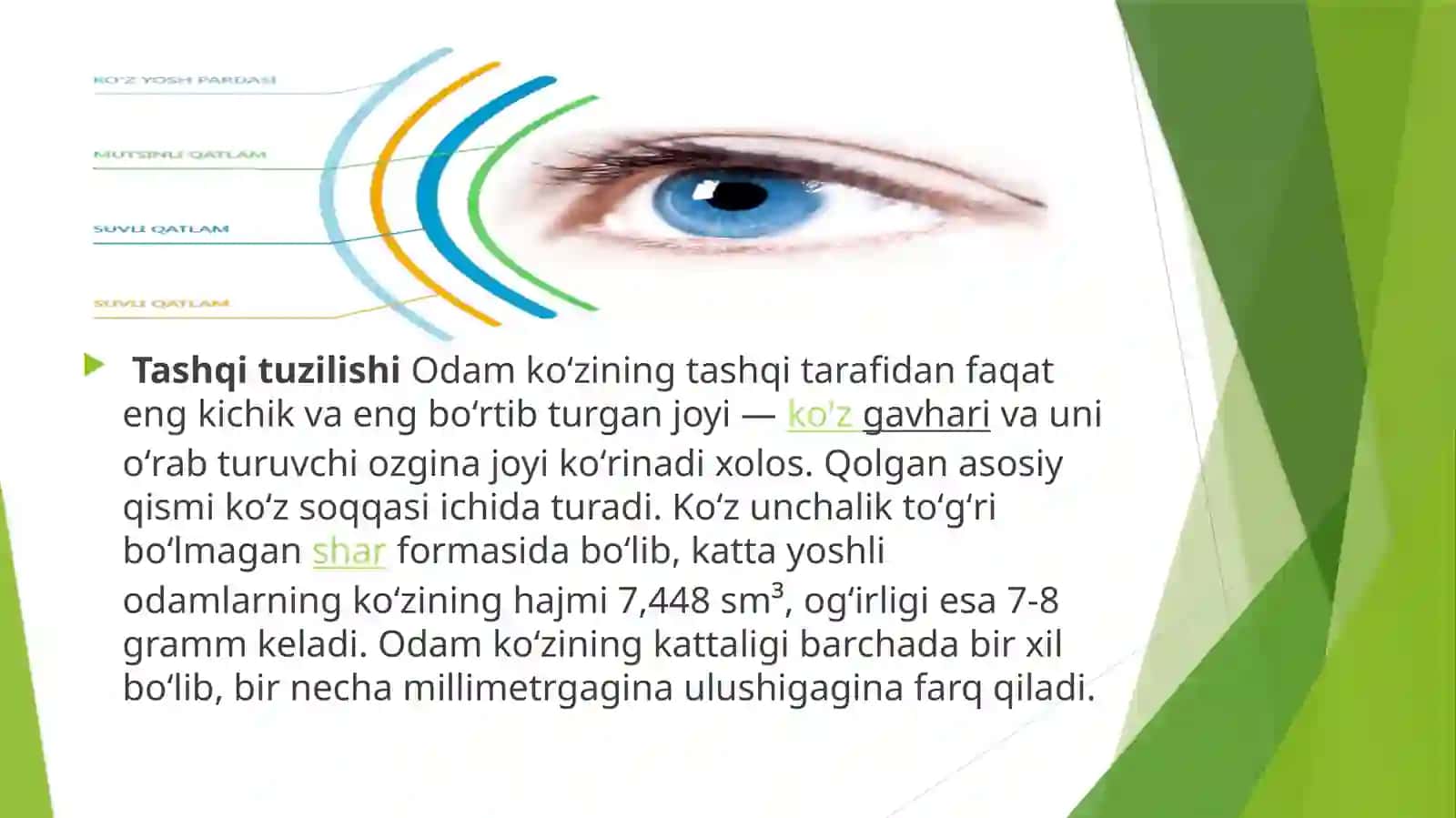 KO’RUV ANALIZATORI.KO’ZNING OPTIK QISMI 4
