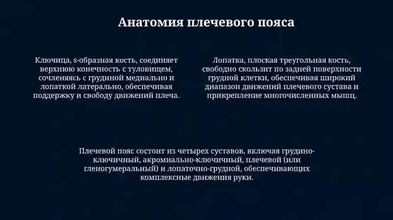 Верхние конечности 4