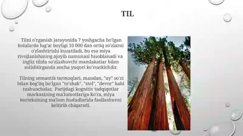 Umumiy pisixalogiya bilish jarayonlari 4
