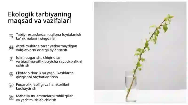 ekologiya tarbiya, ta'lim va madaniyat 4