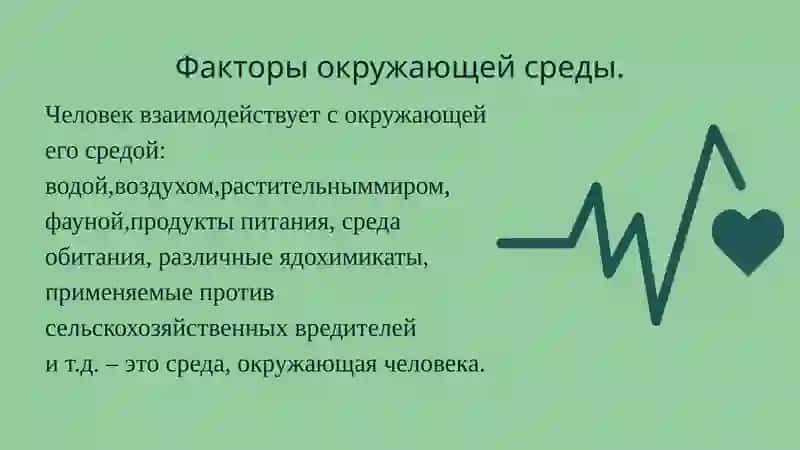 Факторы, влияющие на здоровье человека 4