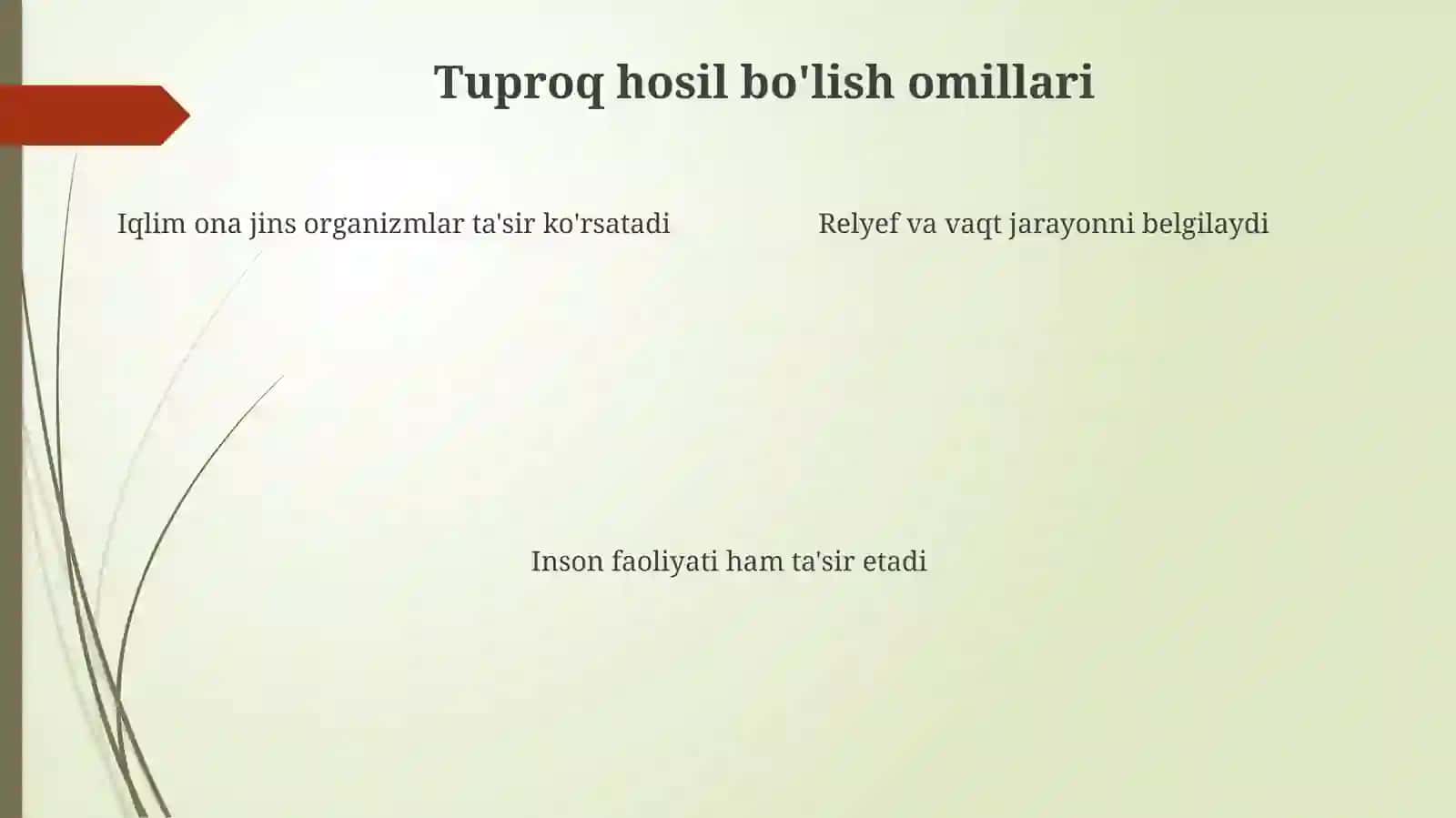 Tuproqlarning paydo bo'lishi 4