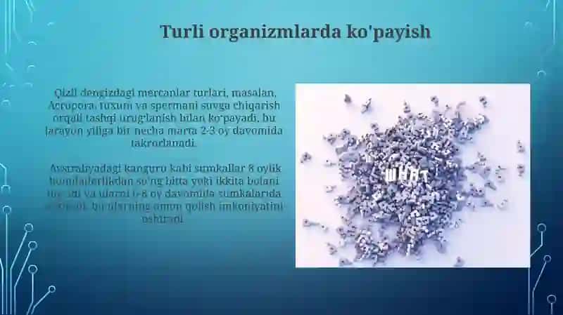 Takror ishlab chiqarish bu nima 4