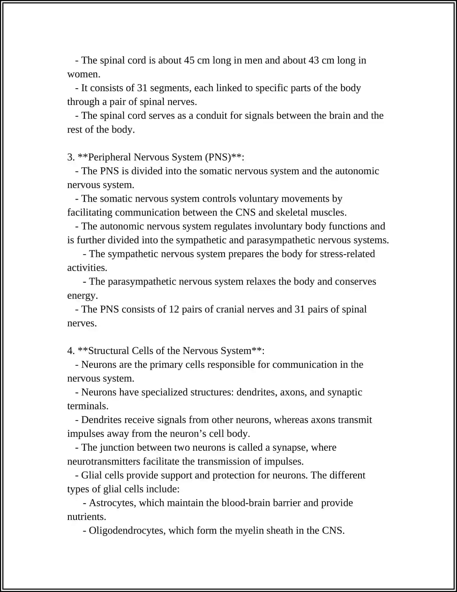 HUMAN BRAIN 4