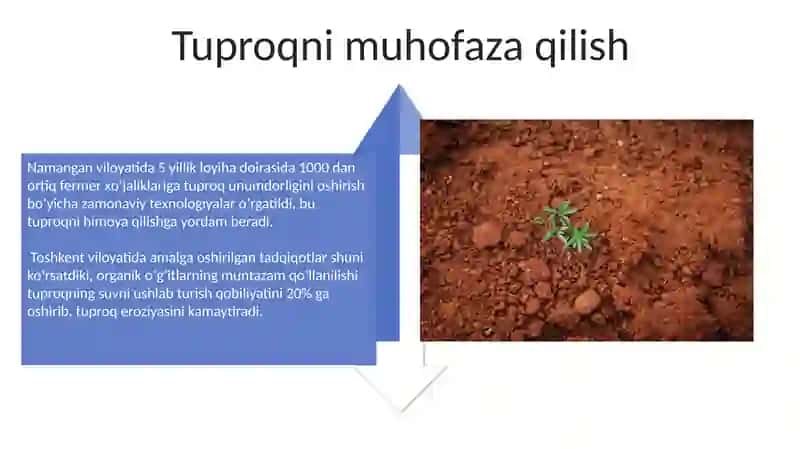 Tuproq va uning tabiiy xususiyatlari 4