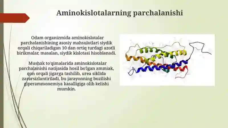 Aminokislotalar alohida almashinuvi 4