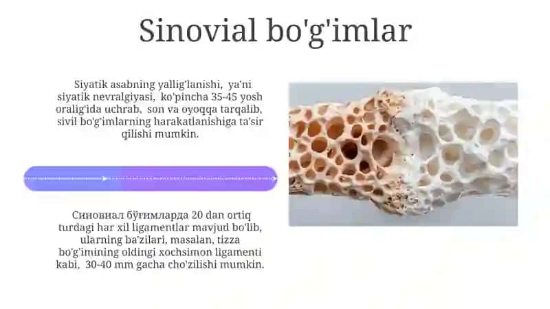 Suyak To'qimasi 4