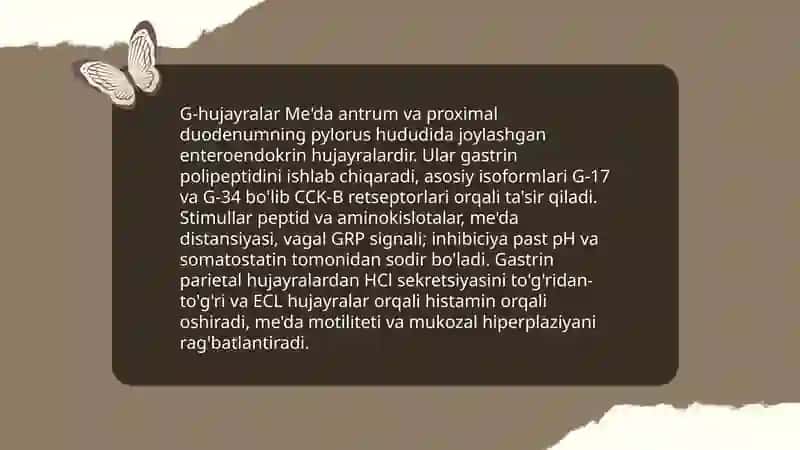 Me'da ichak nayining endokrin hujayralari 4
