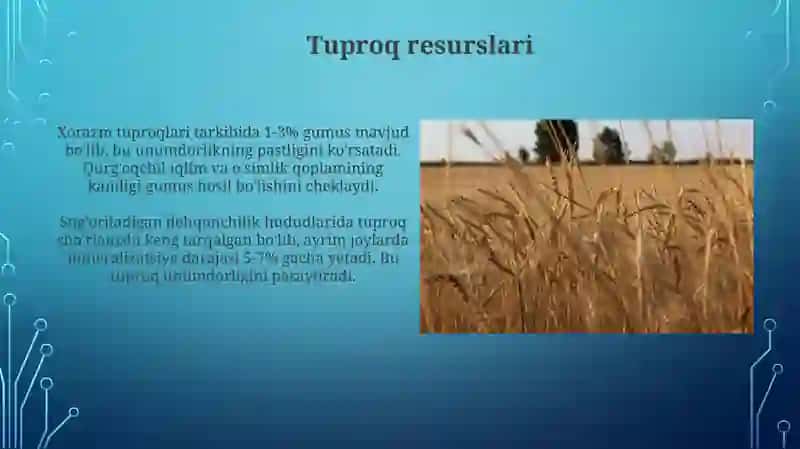 Xorazmning ekologik resurslari 4