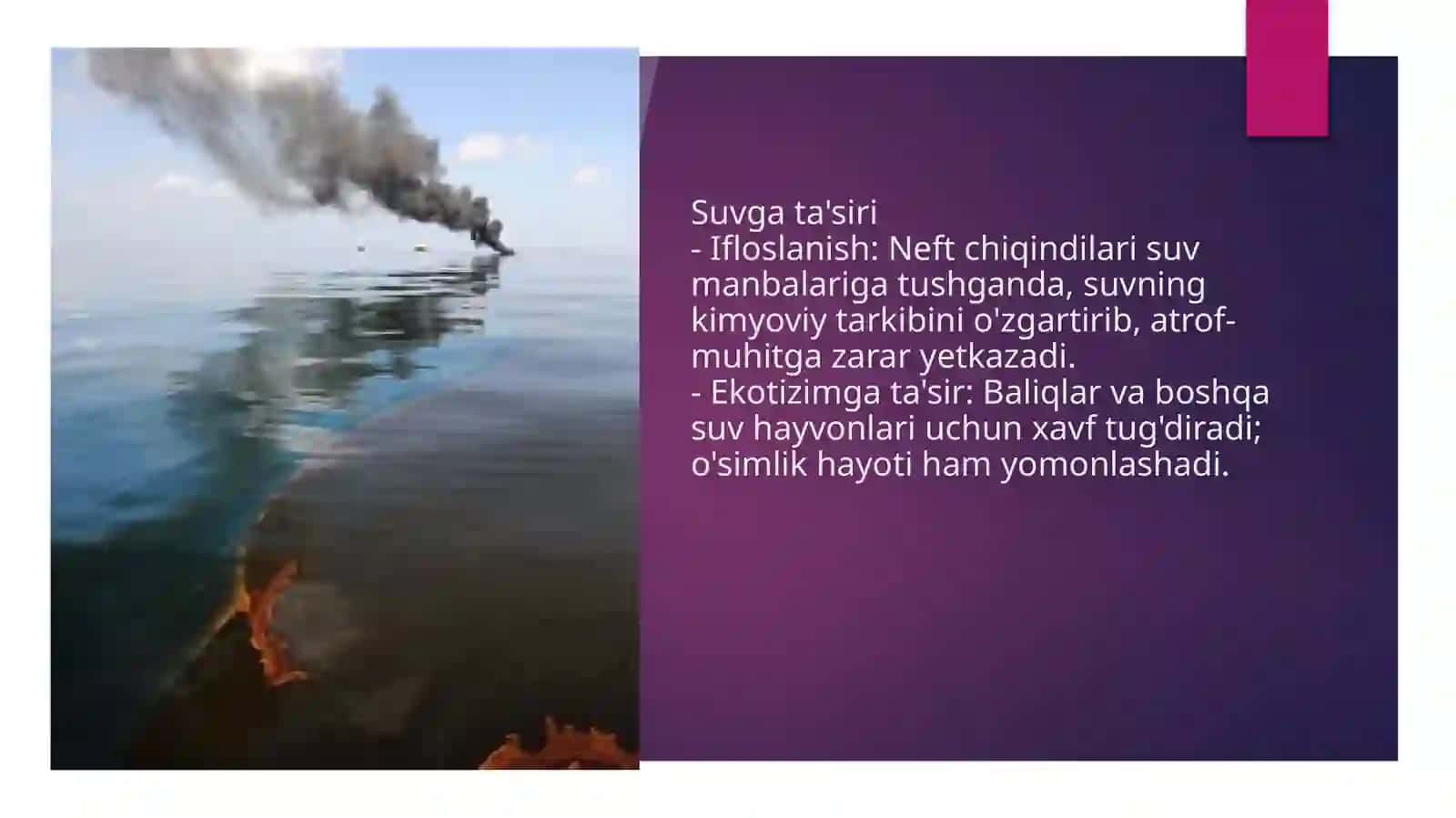 Neft chiqindilarini atrof-muhitga ta'siri 4