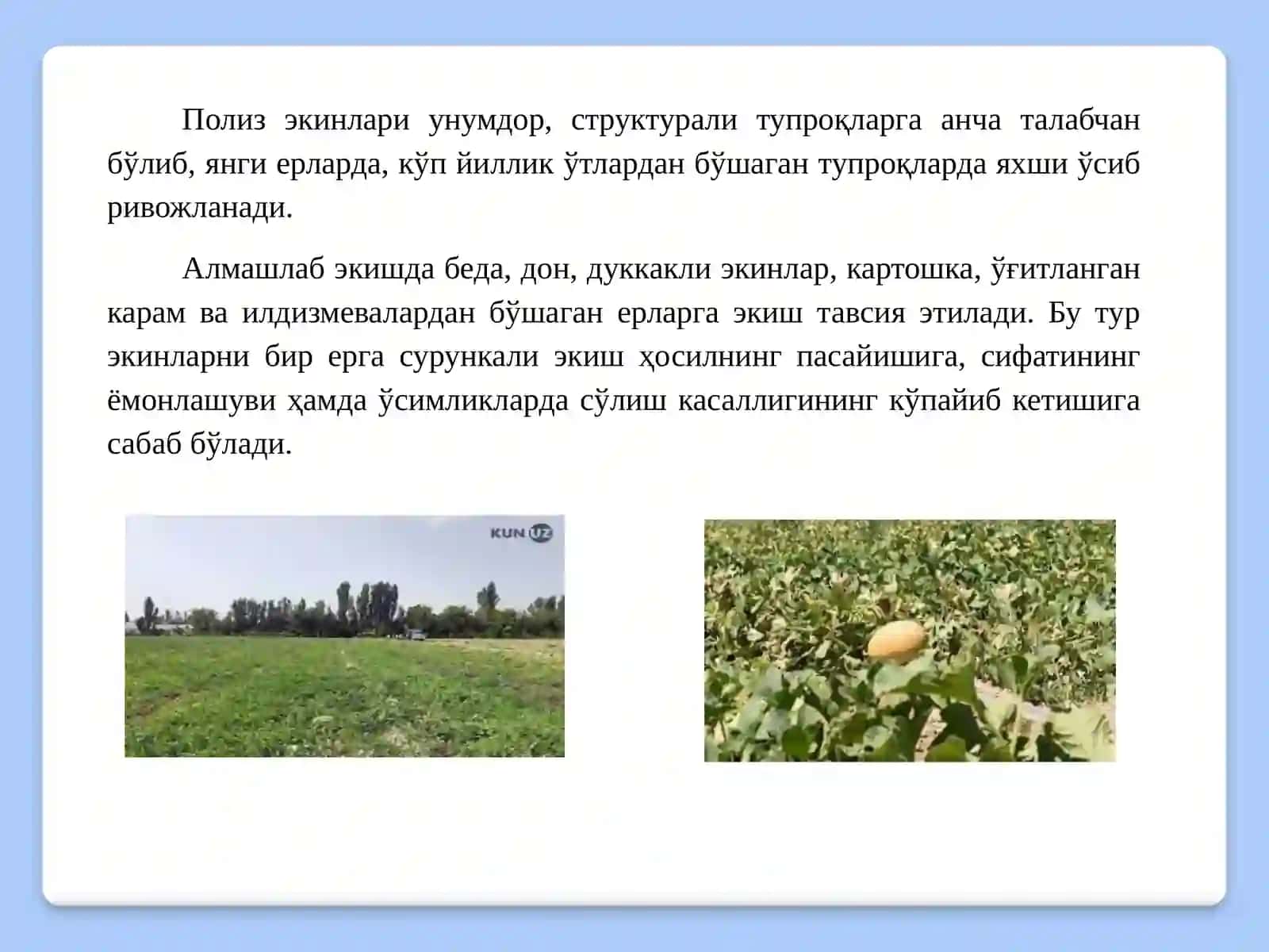 ПОЛИЗ ВА СУБТРОПИК ЭКИНЛАРНИ ЎҒИТЛАШ 4