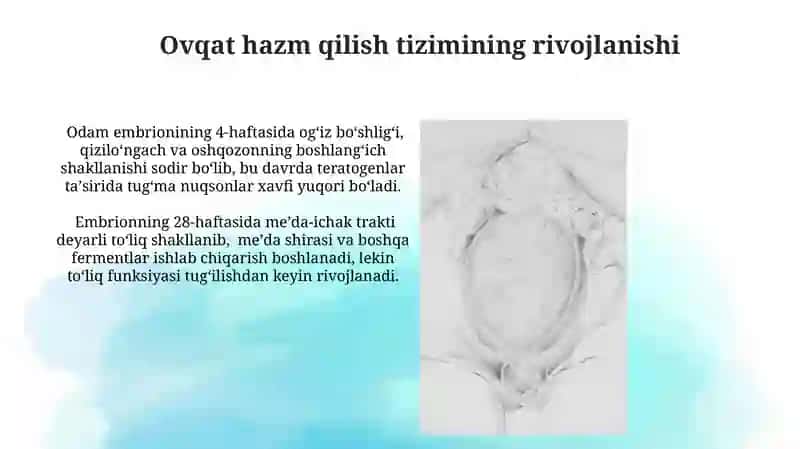Odam embriogenezining qaltis davrlari 4