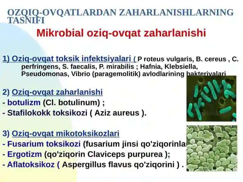 FARMATSEVTIKA TA’LIM VA TADQIQOT 4