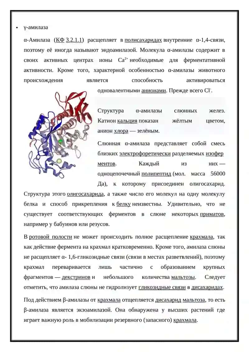 Углеводы. Структура и функции. 4