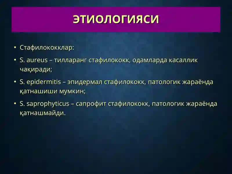 Терининг йирингли касалликлари-пиодермитлар 4