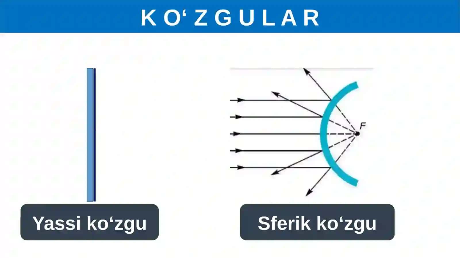 F I Z I K A 4