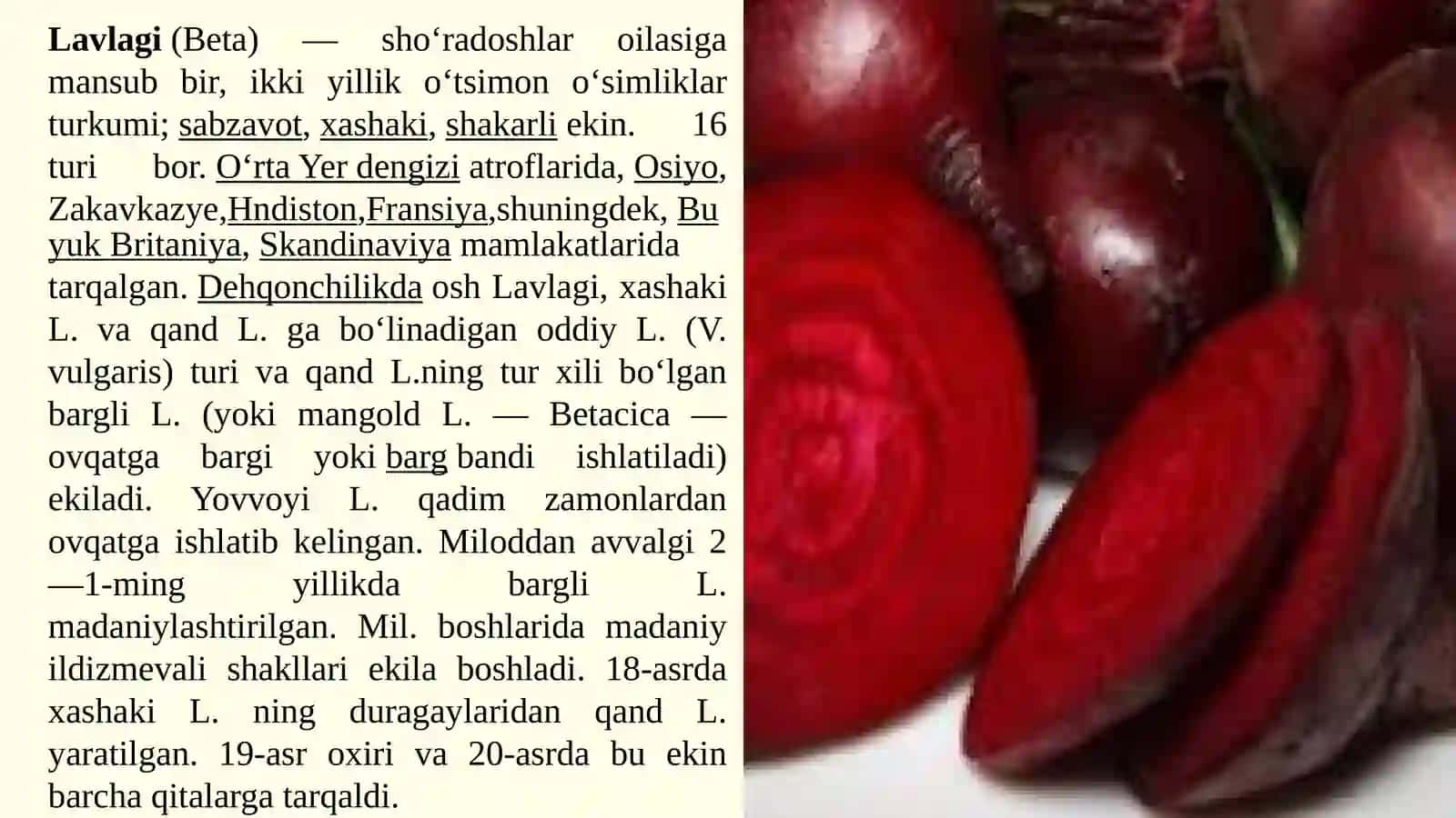 Ildizmevalarning dorivorlik xususiyatlari 4