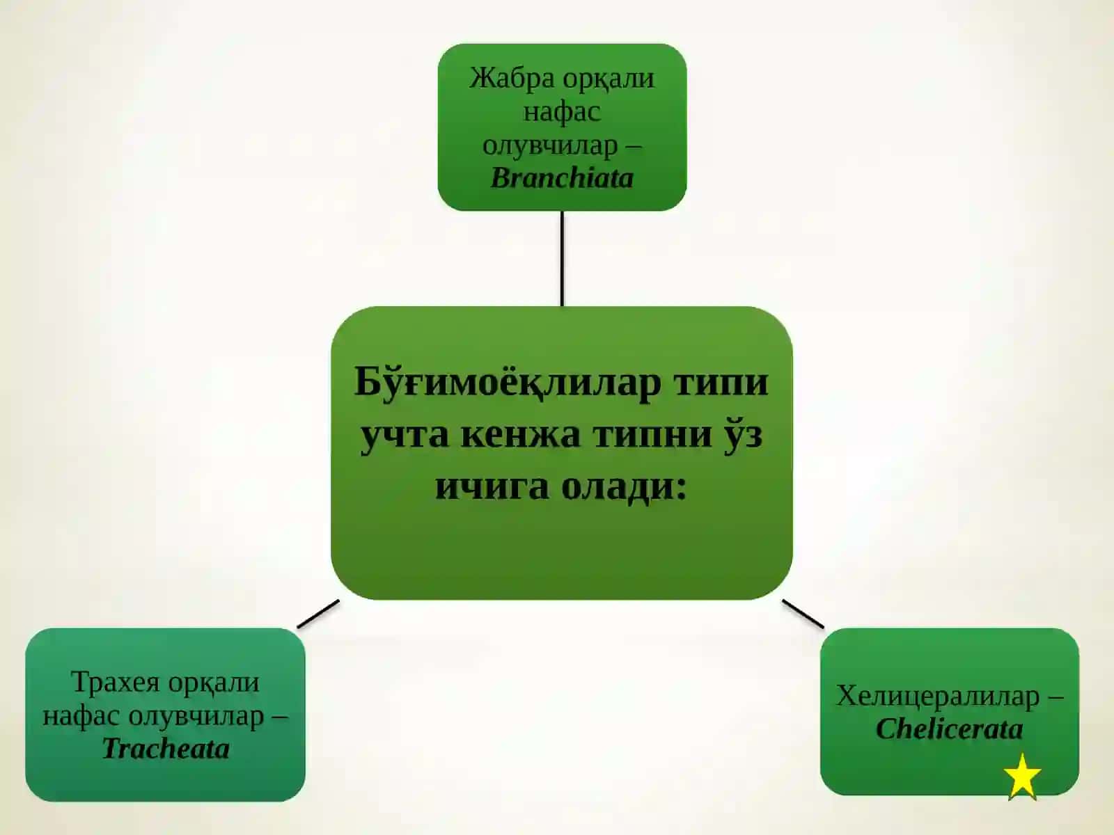 Тиббиёт арахноэнтомологияси 4