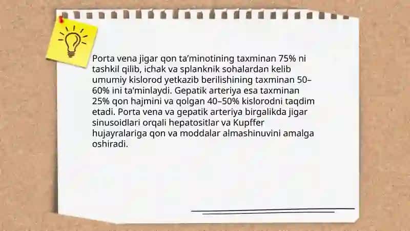 Jigar faoliyati va detoksikatsiya jarayonlari 4
