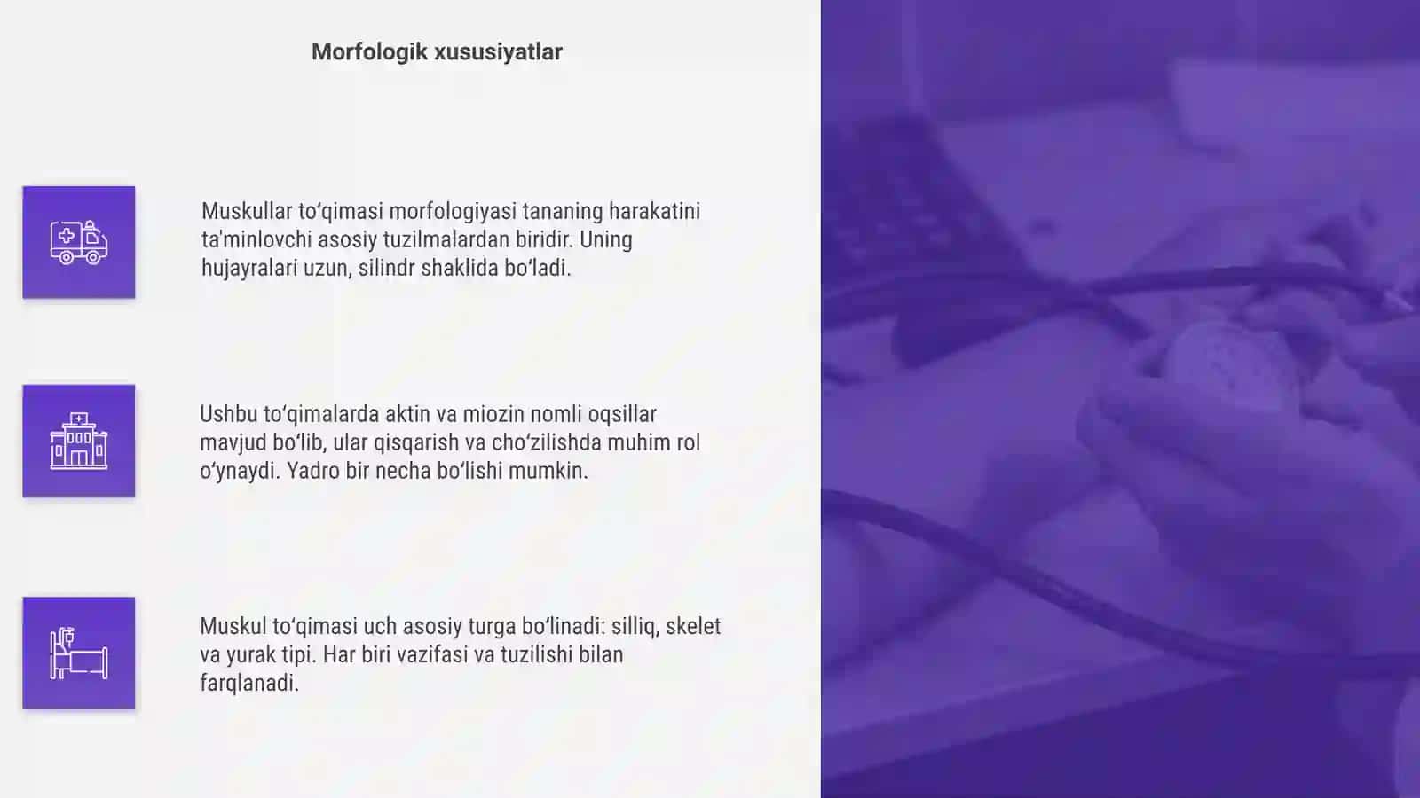 Muskullar toʻqimasi marfalogiyasi 4