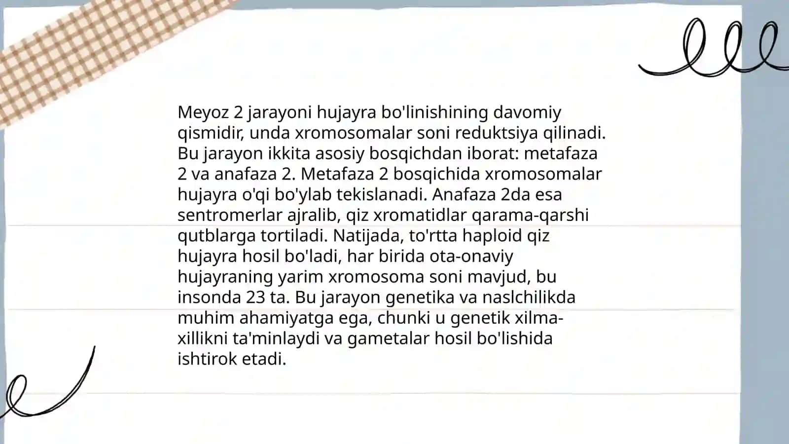 Meyoz 2 4