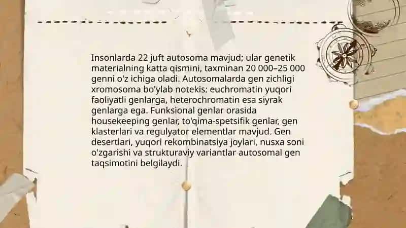 Xromosomalarning malekulyar tuzilishi 4