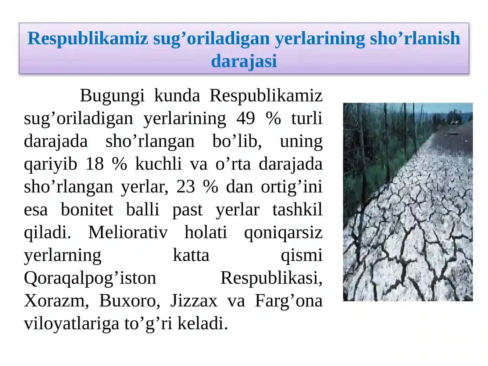 Sho’rlangan tuproqlar va uni oldini olish chora tadbirlari 4