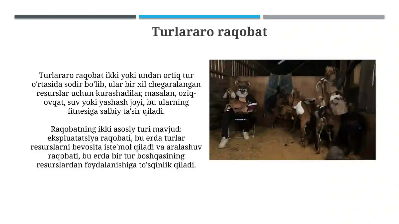 Hayvonlar jamoalarining o'zaro ta'siri 4