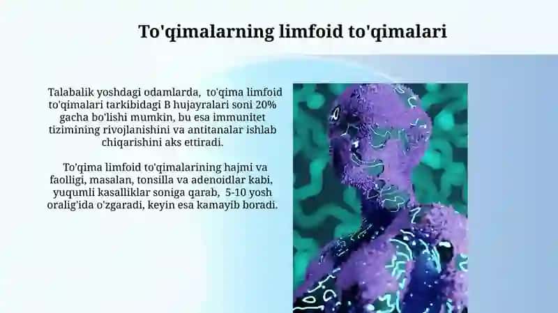 Immun tizimining markaziy va periferik a’zolari 4