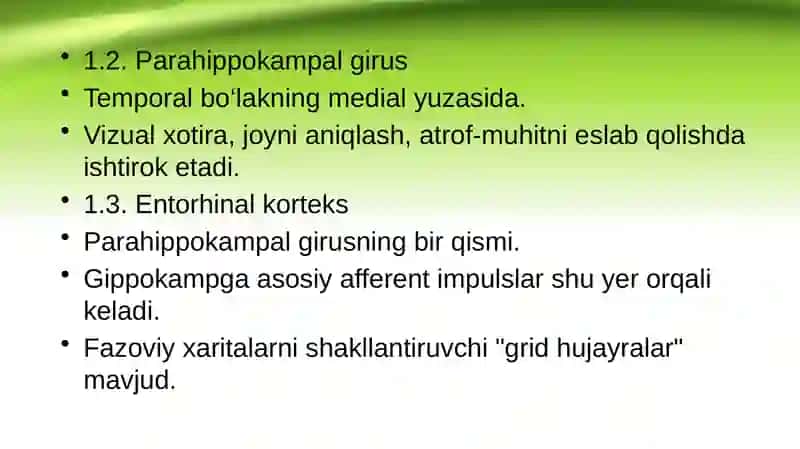 Limbik tizim, funksiyasi 4