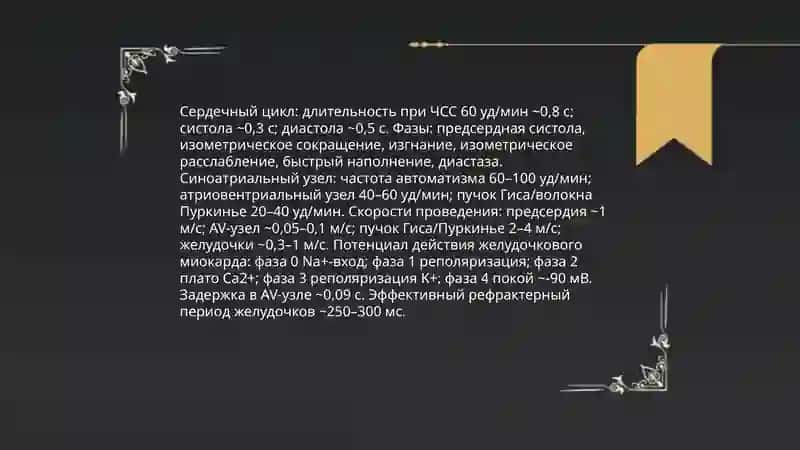 Кровеносная система 4