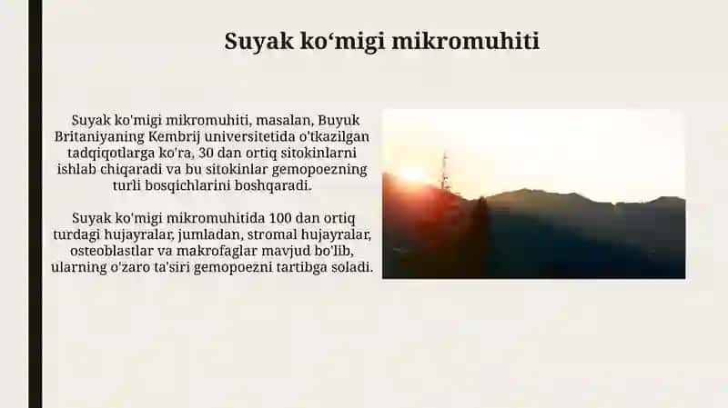 Gematopoez jarayonlarining boshqariluvi 4
